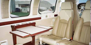 Beech Baron 58 view for Long Island charter
