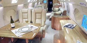 Gulfstream II / IIB view for Long Island charter
